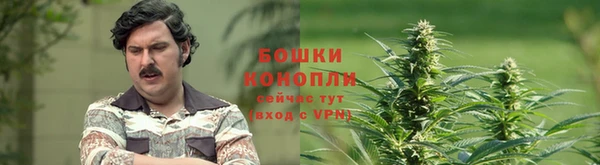 мет Балахна