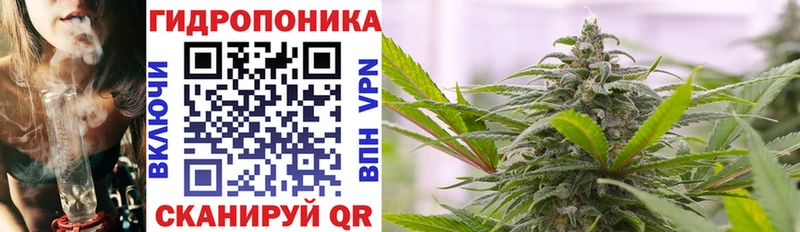 МАРИХУАНА планчик Шиханы